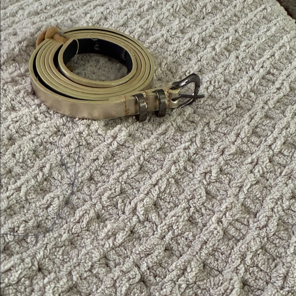 Gold Metallic Belt with Buckle
